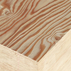 Larch Embossed Plywood 