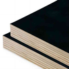 Black Film Faced Shuttering Plywood