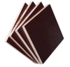 Brown Film Faced Shuttering Plywood