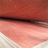 Bintangor Plywood