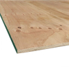 Pine Plywood