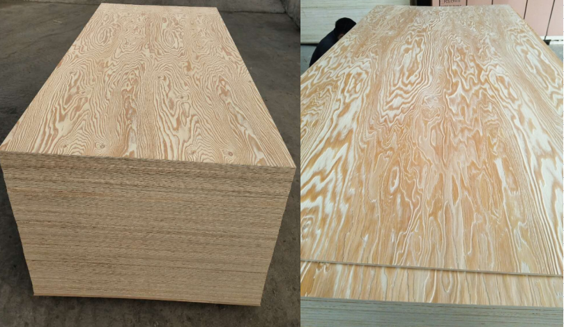 larch plywood