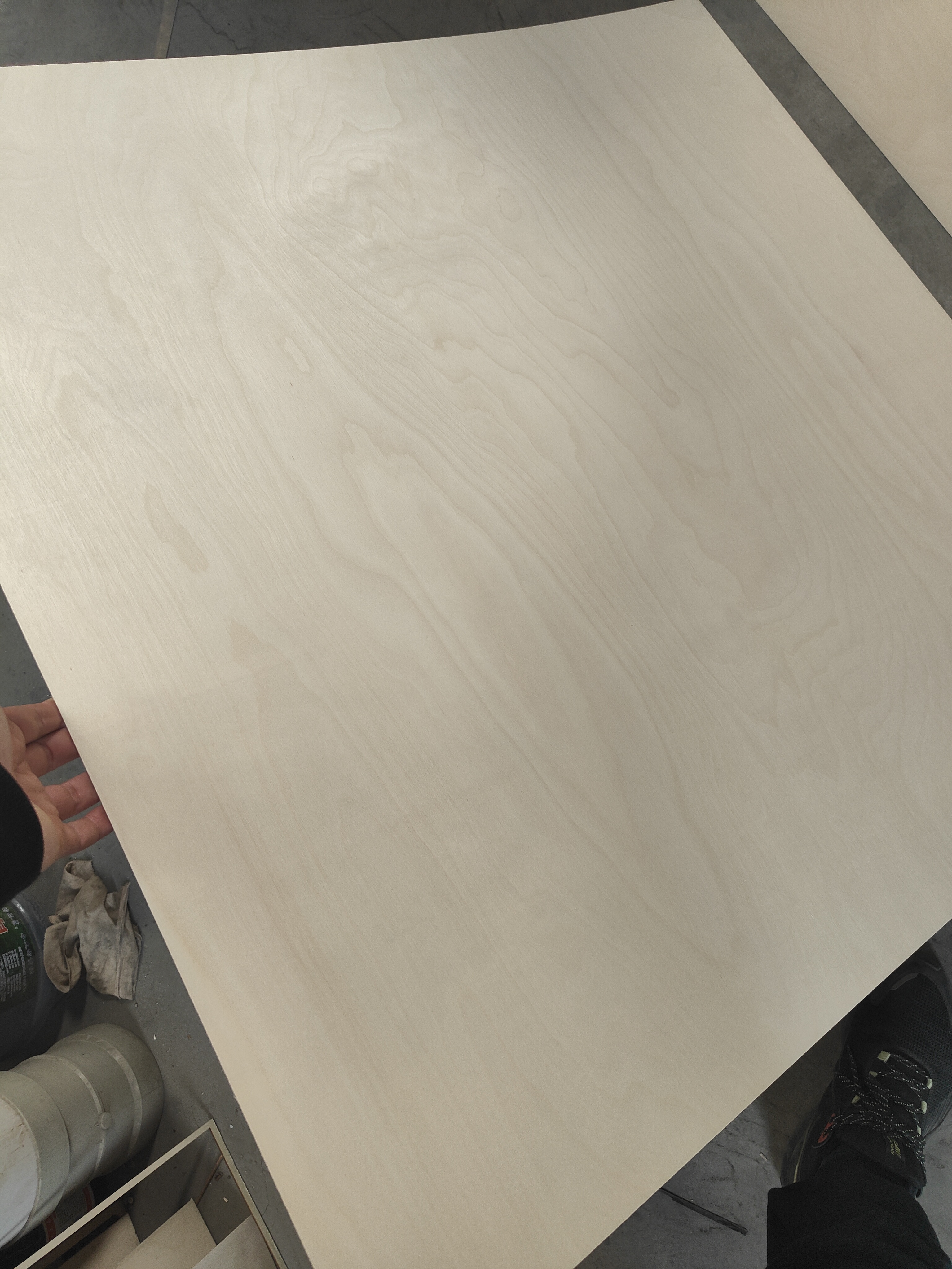 birch 3