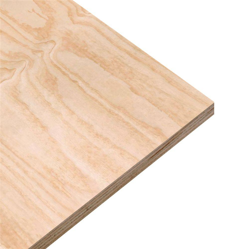 Pine Plywood