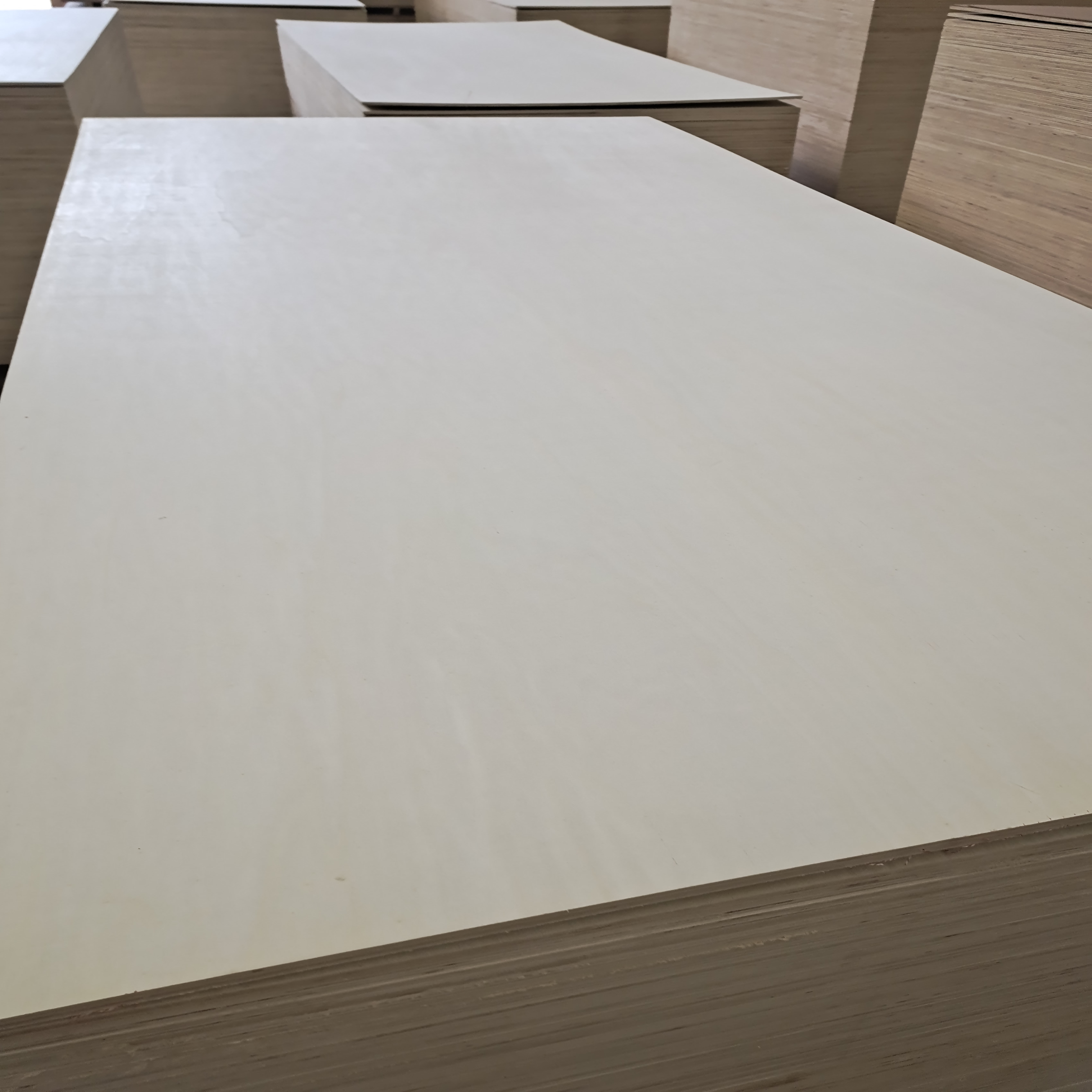 Poplar Plywood